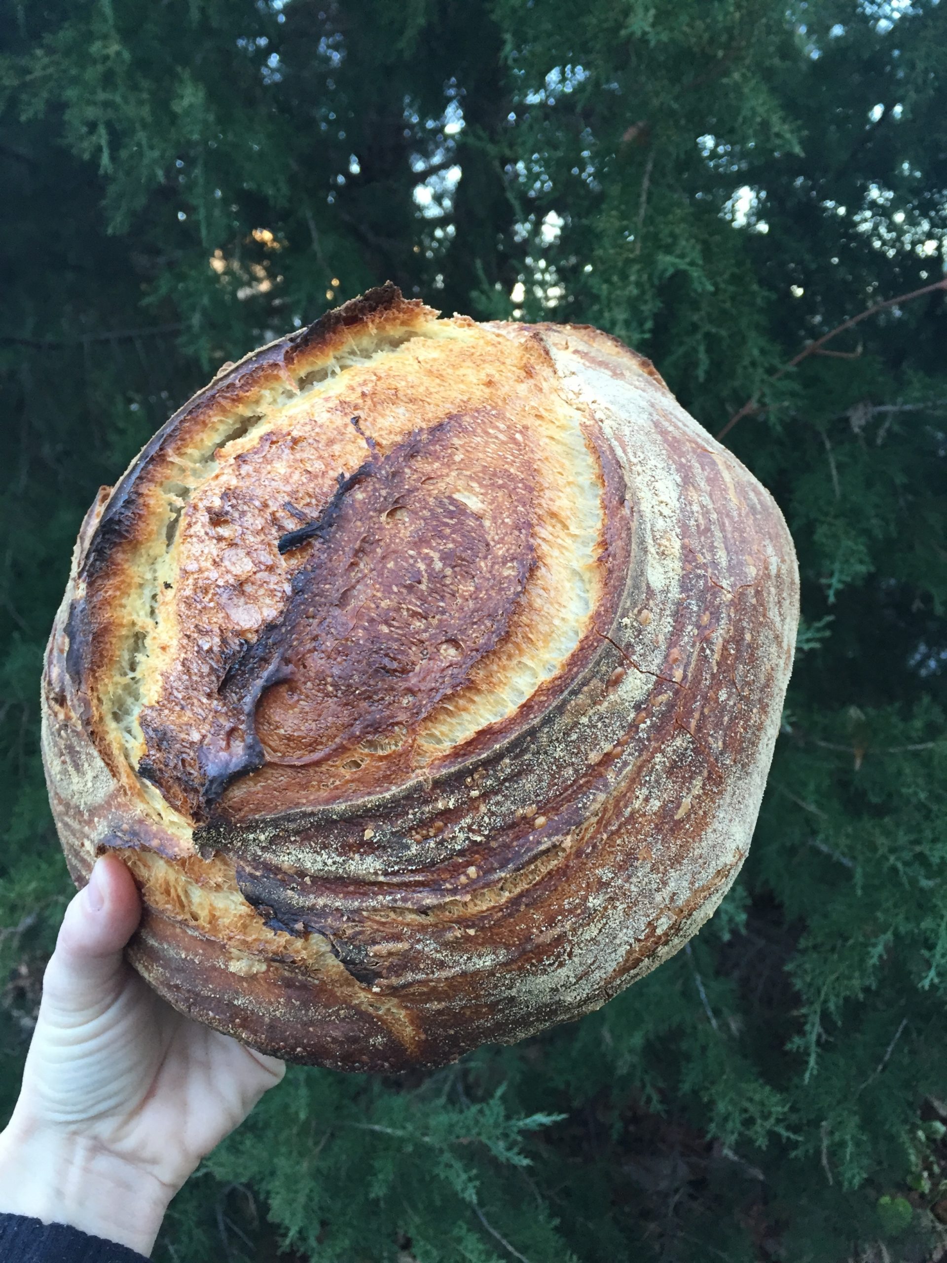 how to keep bread fresh longer